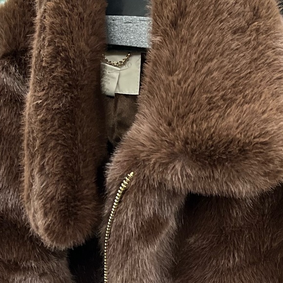 Meet Hal - Picture 10 of 16